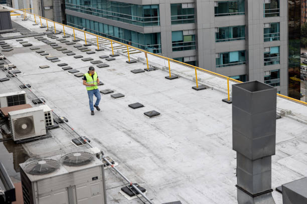 Best Roof Coating and Sealing  in Portola, CA