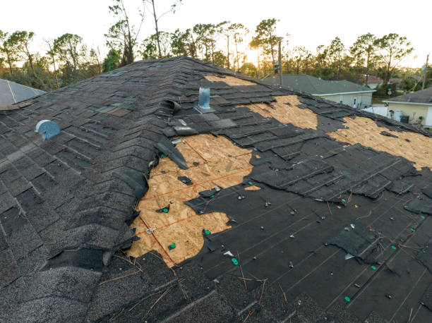 Best Roof Installation  in Portola, CA