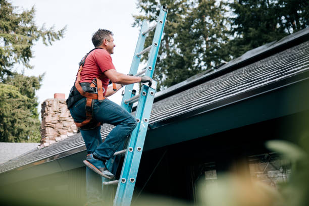 Best Sheet Metal Roofing  in Portola, CA