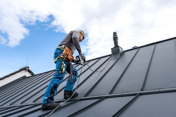 Best Flat Roofing  in Portola, CA