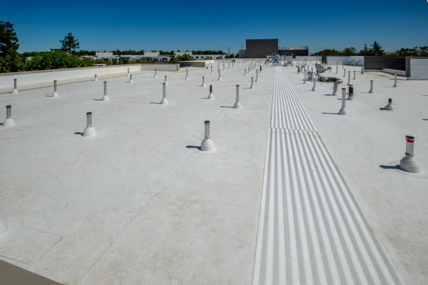 Best Asphalt Shingles Roofing  in Portola, CA